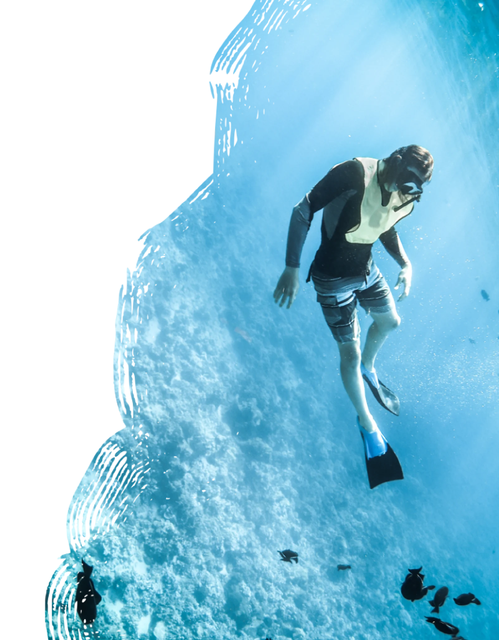 Scuba diver swimming underwater
