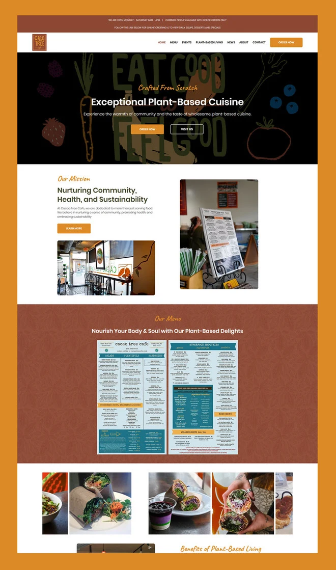 Website design example 4