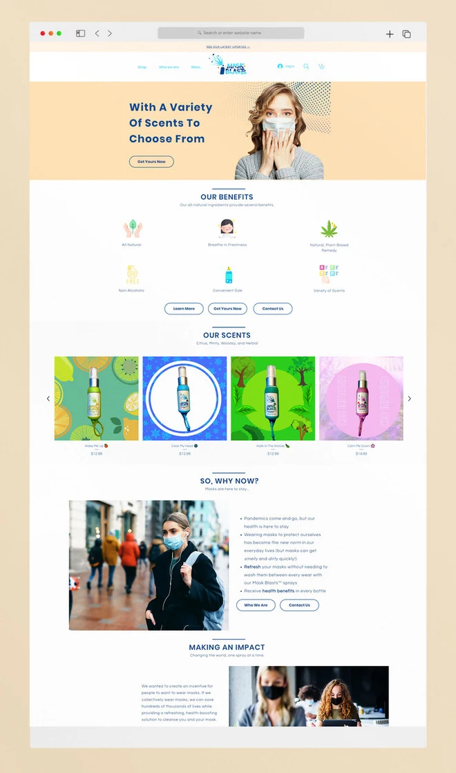 Website design example 11