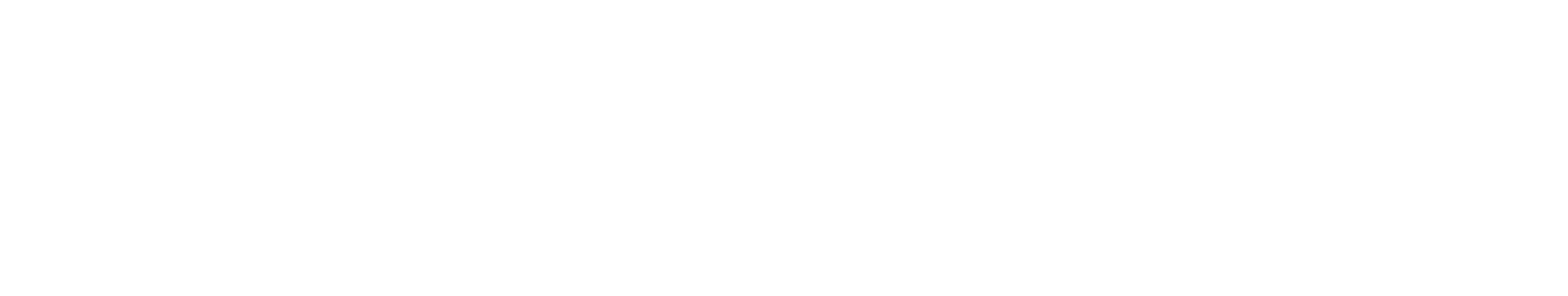 Next Wave Services